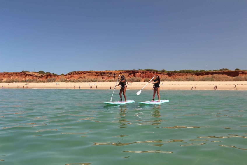 Picture 1 for Activity Albufeira: 1 Hour Stand-Up Paddleboard Experience