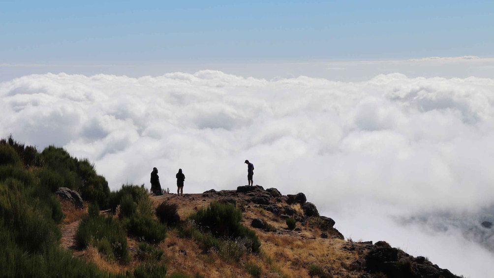 Picture 11 for Activity Madeira East or West Private Half-Day Tour by Open-Top Jeep