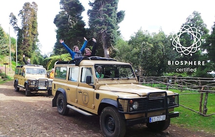 Visite privée d'une demi-journée de l'est ou de l'ouest de Madère en jeep à...