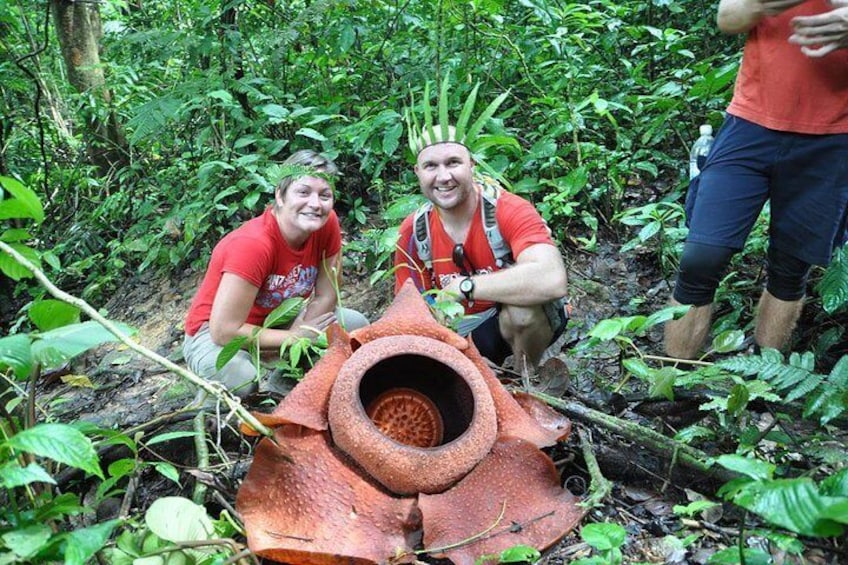 Rafflesia Rainforest Reserve