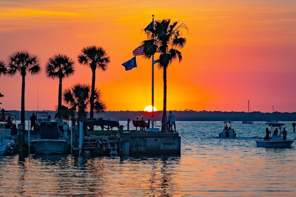 Fort Lauderdale : Coucher de soleil en 90 minutes croisière Maison millionn...