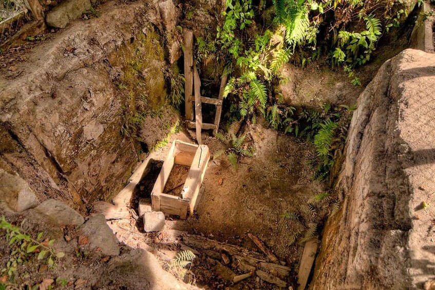 Picture 3 for Activity Rotorua: The Buried Village of Te Wairoa