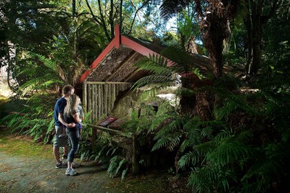 Rotorua: The Buried Village of Te Wairoa