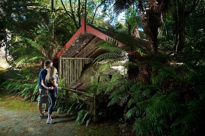 Rotorua: Het begraven dorp Te Wairoa