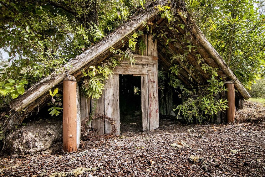 Picture 6 for Activity Rotorua: The Buried Village of Te Wairoa