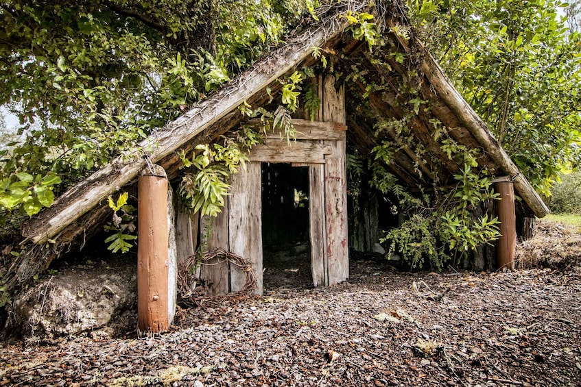 Picture 6 for Activity Rotorua: The Buried Village of Te Wairoa