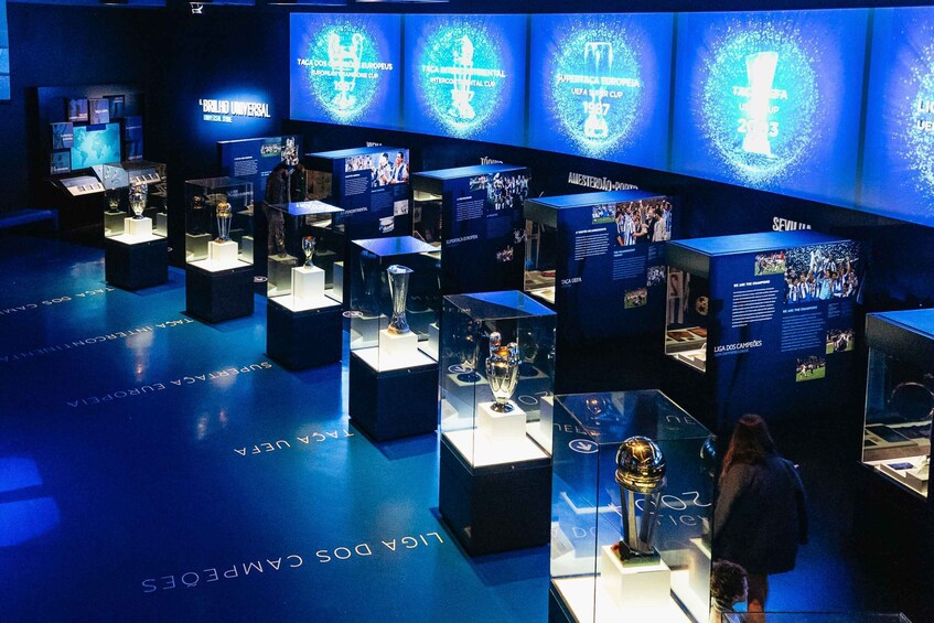 Picture 2 for Activity FC Porto: Museum & Stadium Tour