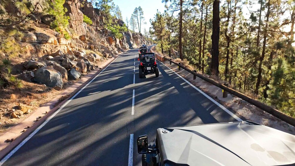 Picture 15 for Activity Tenerife: Teide National Park Guided Buggy Tour
