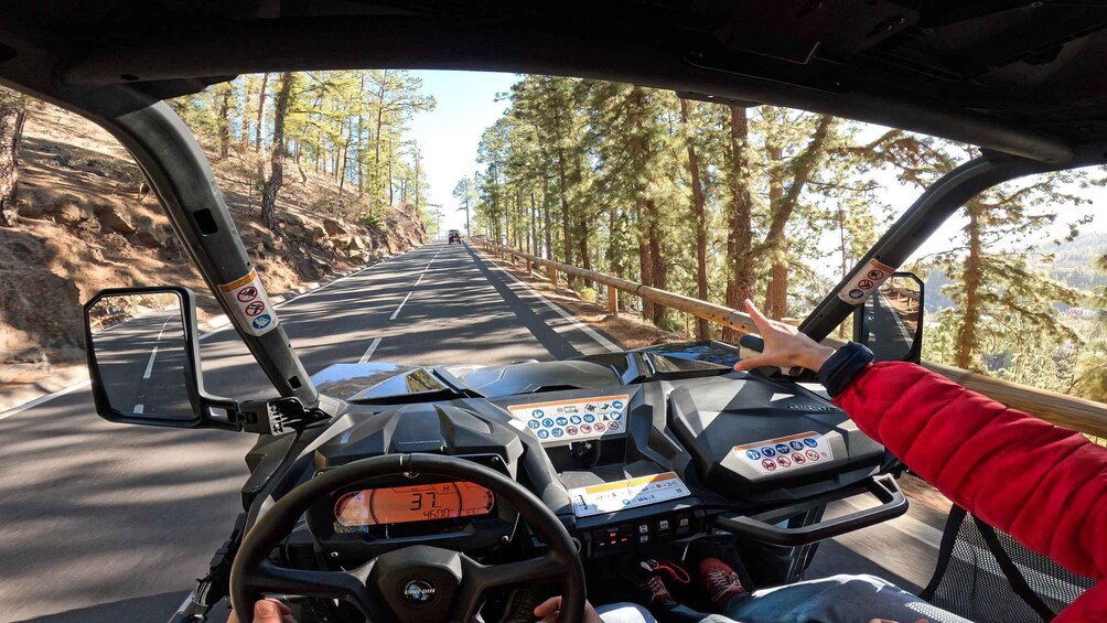 Picture 3 for Activity Tenerife: Teide National Park Guided Buggy Tour