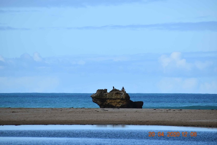 Picture 8 for Activity From Melbourne: Great Ocean Road Private Guided Tour by Car