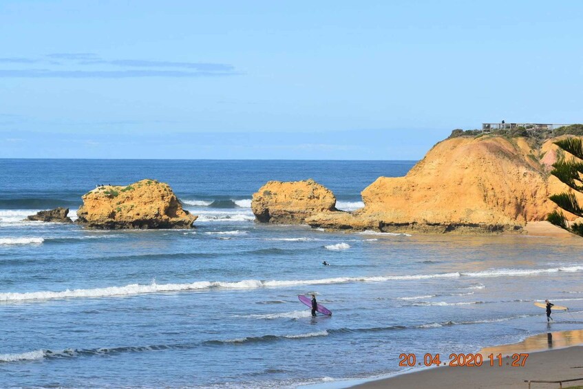 Picture 1 for Activity From Melbourne: Great Ocean Road Private Guided Tour by Car