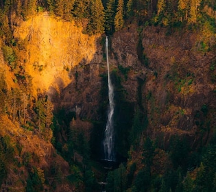 Portland : Excursion aérienne privée aux chutes d'eau de la gorge du Columb...