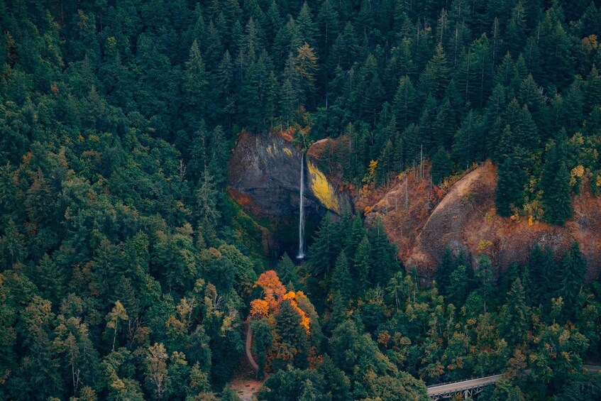 Picture 3 for Activity Portland: Private Columbia Gorge Waterfalls Scenic Air Tour