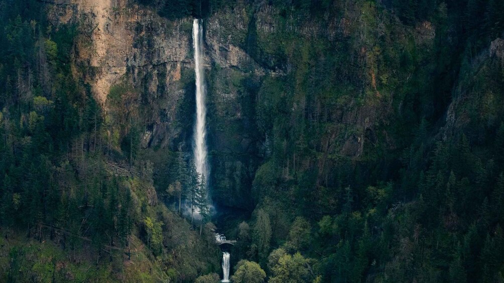 Picture 9 for Activity Portland: Private Columbia Gorge Waterfalls Scenic Air Tour