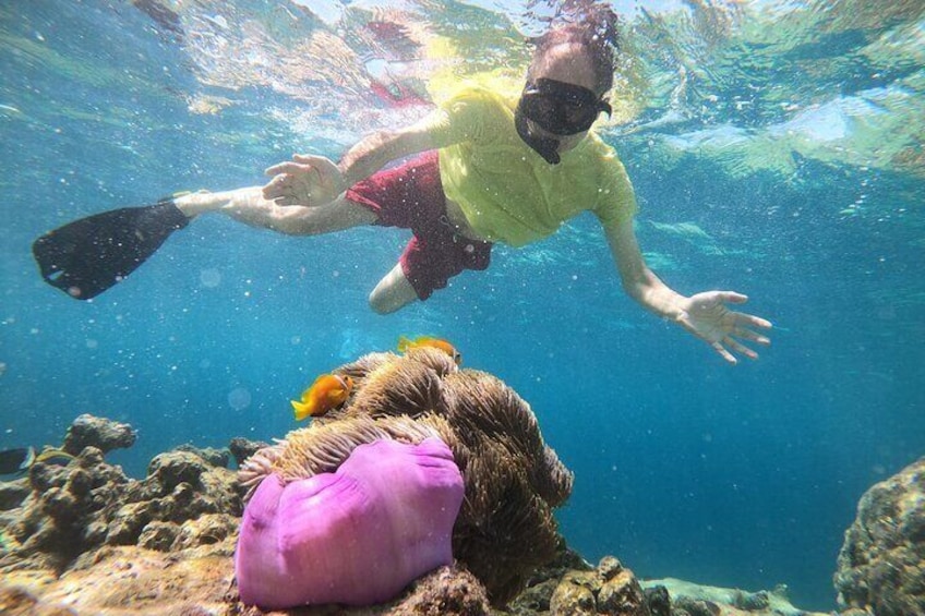 2-Hour Private Snorkelling in Maldives 