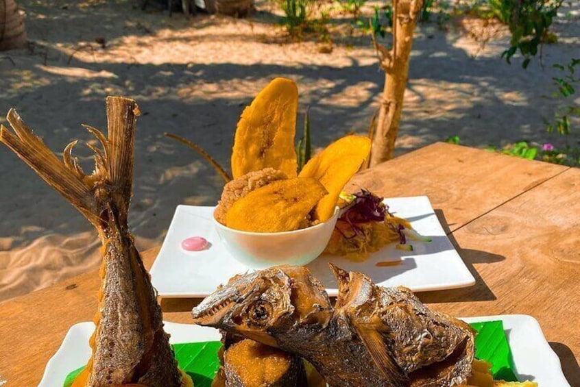 Private Tour of 7 Hours in Playa Blanca, Barú - Cartagena
