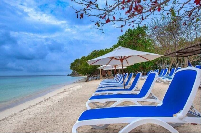 Full-Day in Isla del Encanto with Lunch and Transfer to the Pier
