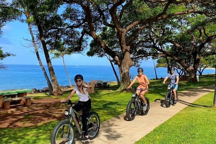 2-Hour Self Guided EBike in West Maui & Makai Island