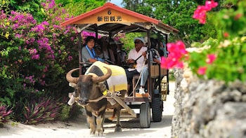 Kohama & Taketomi Island Sightseeing Tour
