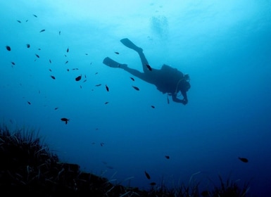 Nea Makri: PADI-kurs i dykning med öppet vatten