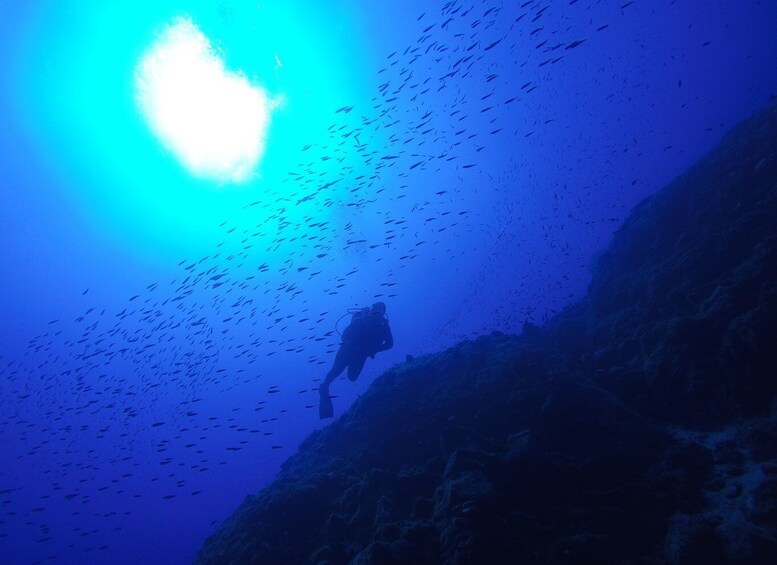 Picture 2 for Activity Santorini: Scuba Diving Experience for Beginners