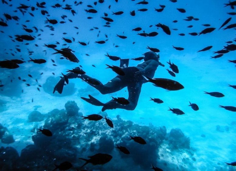 Picture 1 for Activity Santorini: Scuba Dive Experience