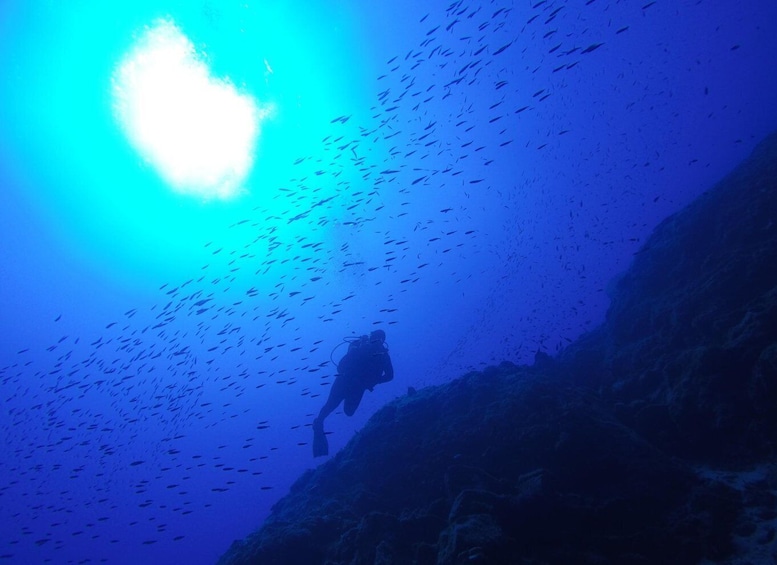 Picture 2 for Activity Santorini: Scuba Dive Experience