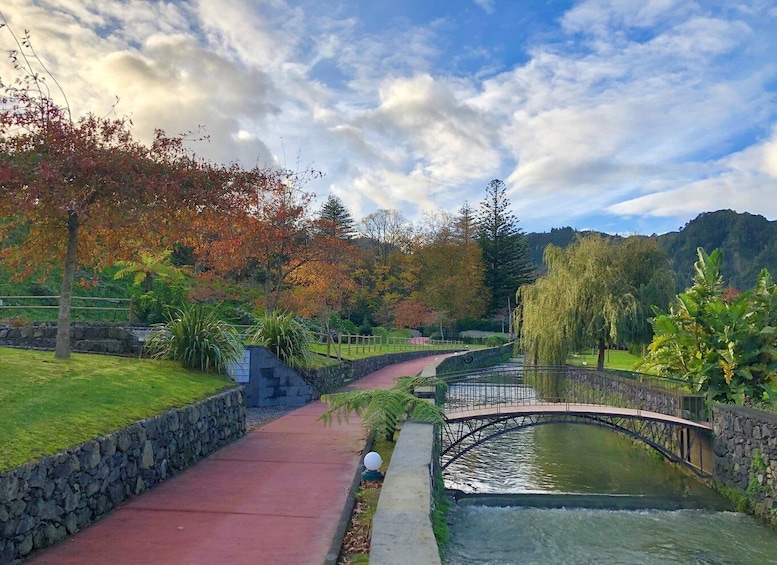 Picture 9 for Activity São Miguel: Full-Day Tour of Furnas Valley