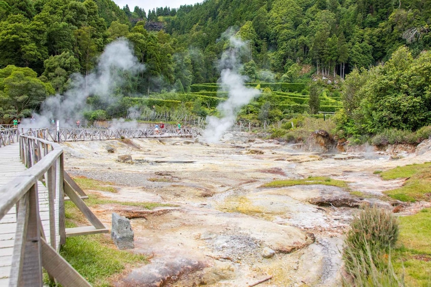 Picture 4 for Activity São Miguel: Full-Day Tour of Furnas Valley