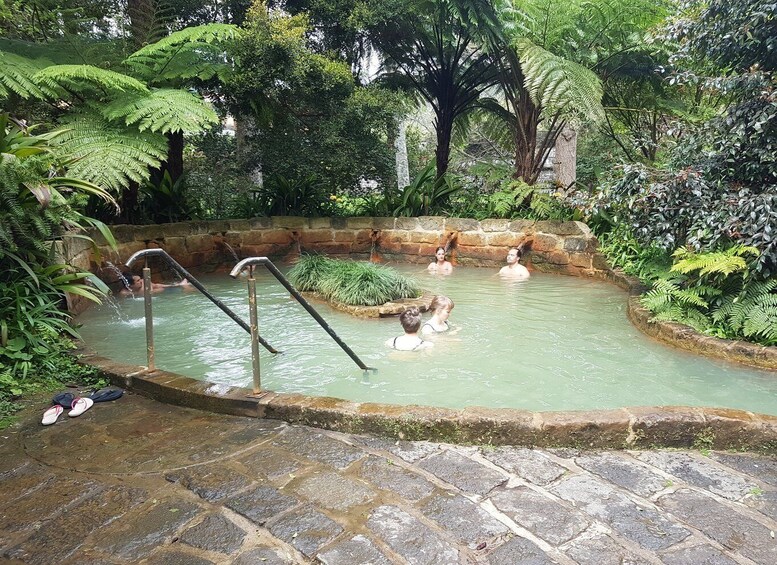 Picture 5 for Activity São Miguel: Full-Day Tour of Furnas Valley