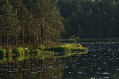 Nuuksio National Park: Half-Day Trip from Helsinki