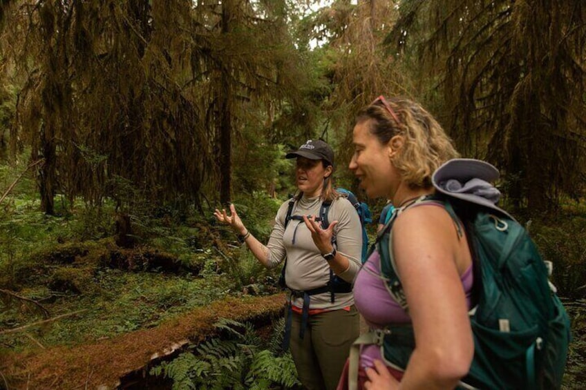 Full-Day Small Group Hiking Tour of Olympic National Park with Pick Up
