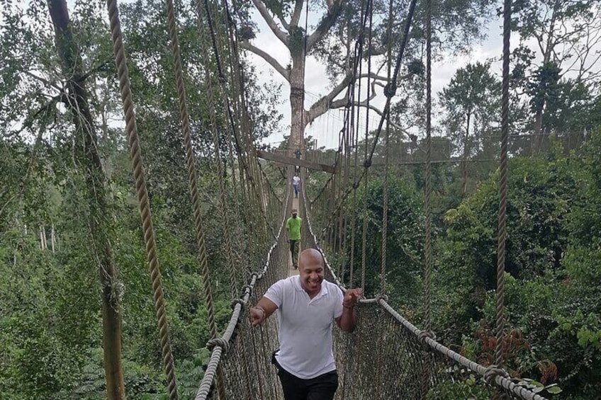My client enjoying his time amongst the treetops of Kakum Canopy!

Private Car Service with Ebo Cobbina