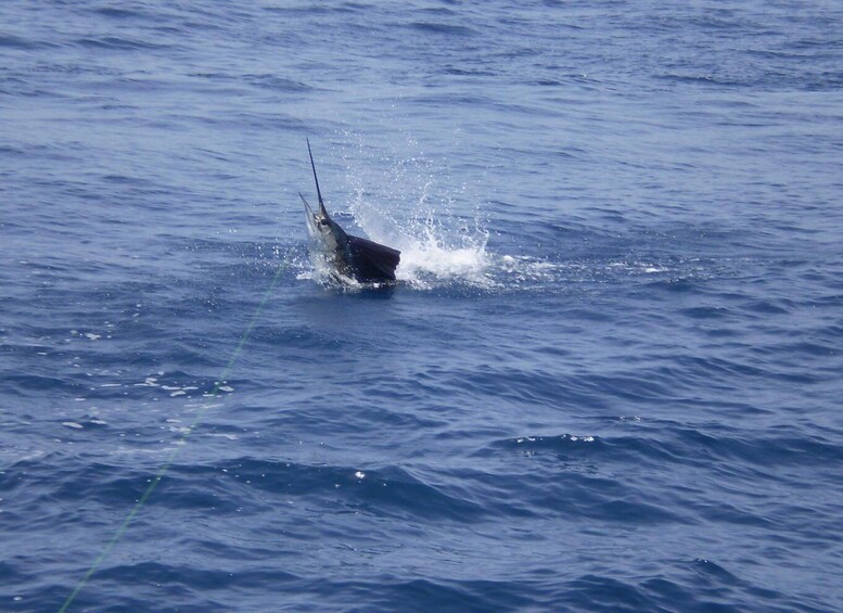 Picture 9 for Activity Guatemala 4-Day Private Sport Fishing Package Tour