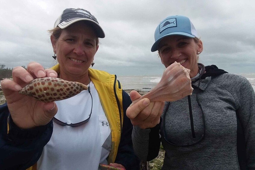 Picture 5 for Activity Marco Island: 10,000 Islands Beachcombing Tour by Boat