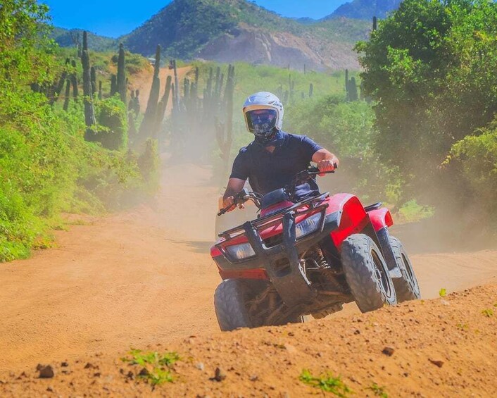 Picture 10 for Activity Cabo San Lucas: Beach & Desert ATV Tour with Tequila Tasting