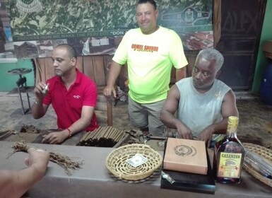 Puerto Plata: cascadas de Damajagua, paseo en buggy y caballo