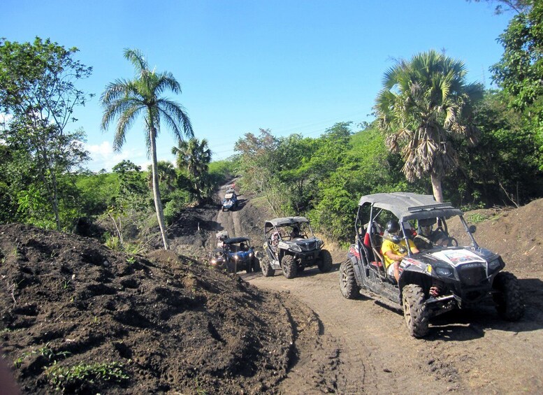 Picture 3 for Activity Puerto Plata: Damajagua Waterfalls, Buggy & Horseback Ride