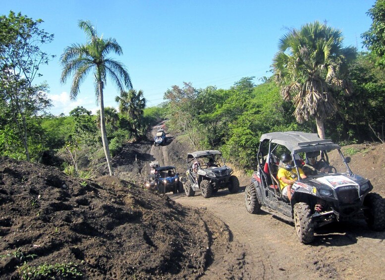 Picture 3 for Activity Puerto Plata: Damajagua Waterfalls, Buggy & Horseback Ride