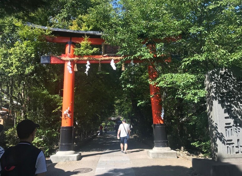 Picture 6 for Activity Uji: Green Tea Tour with Byodoin and Koshoji Temple Visits