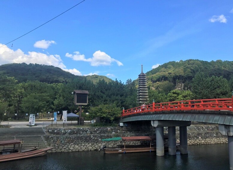 Picture 5 for Activity Uji: Green Tea Tour with Byodoin and Koshoji Temple Visits