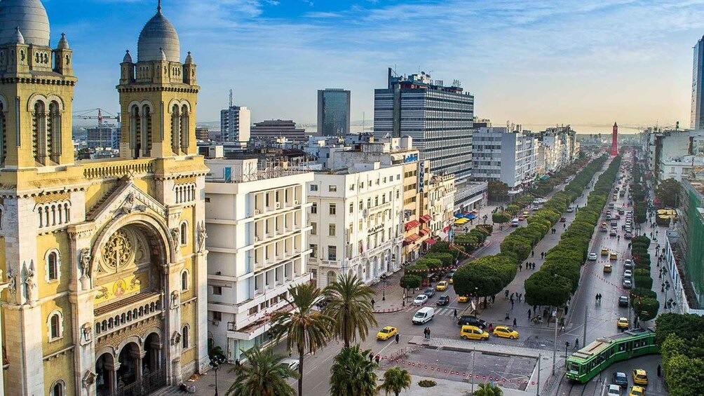 Tunis: Guided Tour with Bardo Museum, El-Zitouna, and Medina