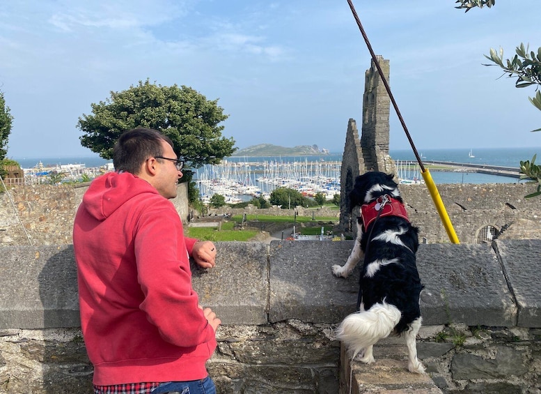 Picture 5 for Activity Dublin: Coastal Hike and Pints & Puppies