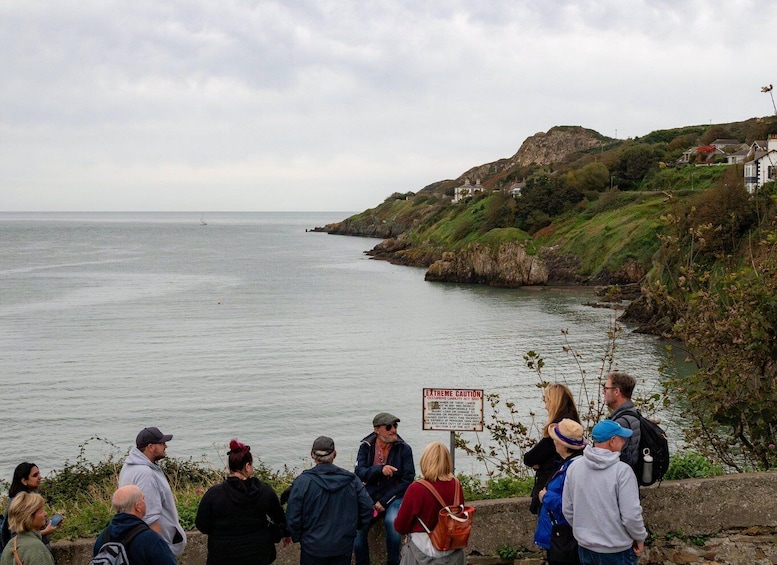 Picture 12 for Activity Dublin: Coastal Hike and Pints & Puppies