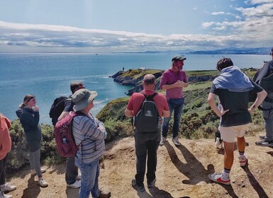 都柏林：都柏林海岸徒步旅行和品脱与小狗