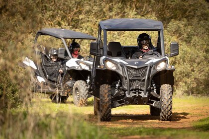 Von Porto aus: Off-Road Buggy Abenteuer