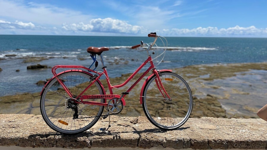Cadiz: City Bike Tour