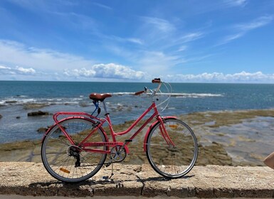 Cadice: Tour della città in bicicletta