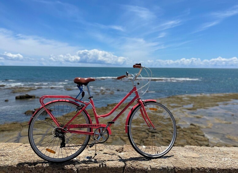 Cadiz: City Bike Tour