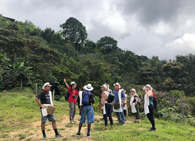 Picture 24 for Activity From Medellin: Day Trip to a Jardin Coffee Plantation